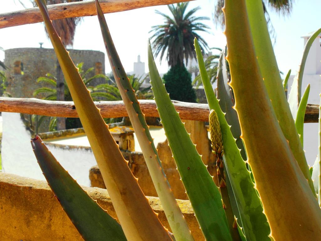 Patio De La Luna Asilah Bagian luar foto